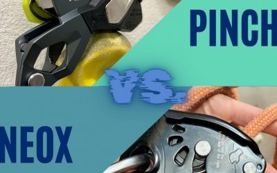 PINCH und NEOX – die zwei neuen im Vergleich