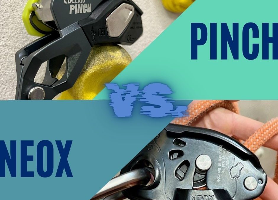 PINCH und NEOX – die zwei neuen im Vergleich